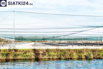 Siatki Kowary - Siatka ochronna na zbiornik z rybami, efektywne zabezpieczenie przed ptakami dla terenów Kowar