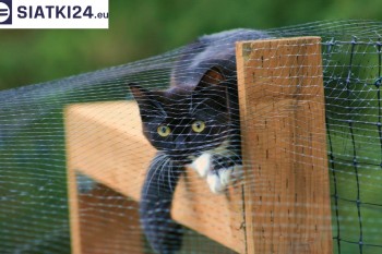 Siatki Kowary - Dobra siatka balkonowa - na ptaki i dla kota dla terenów Kowar