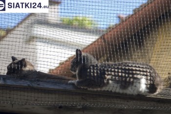 Siatki Kowary - Siatka na balkony dla kota i zabezpieczenie dzieci dla terenów Kowar